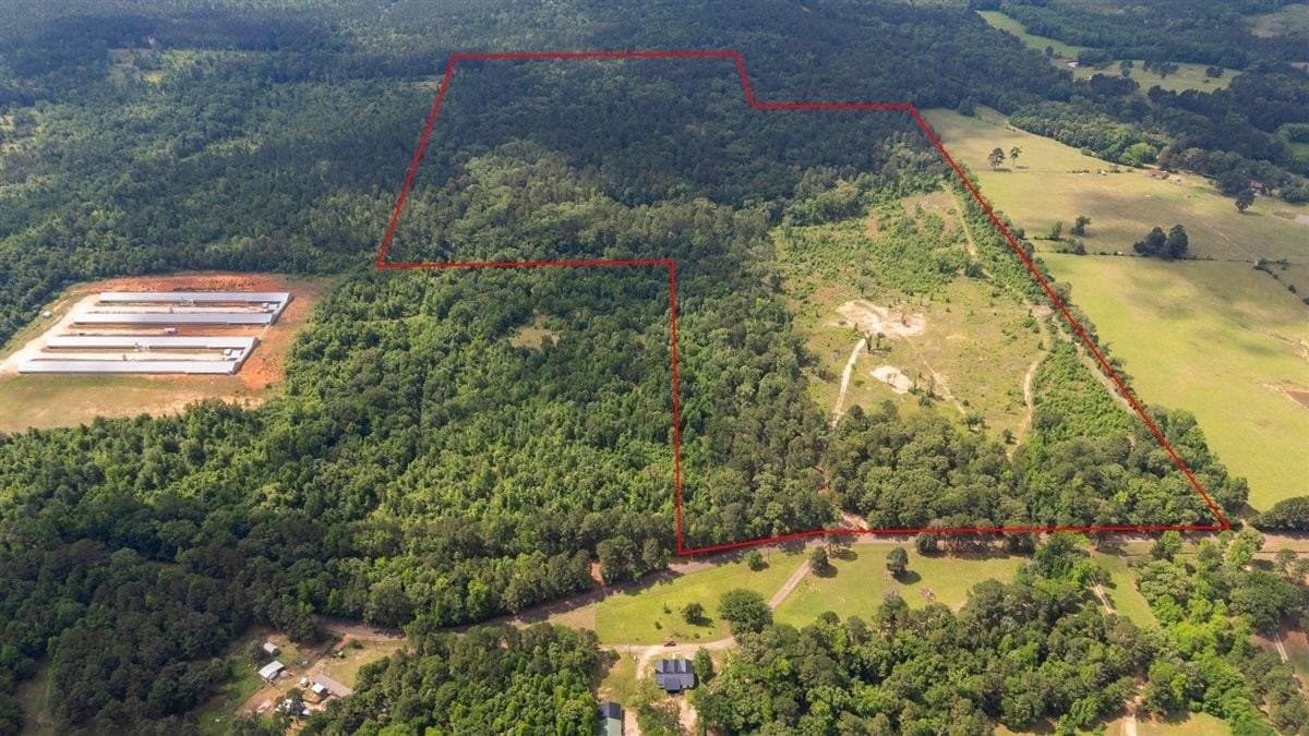 100.56 acres in Wood County gallery image 3