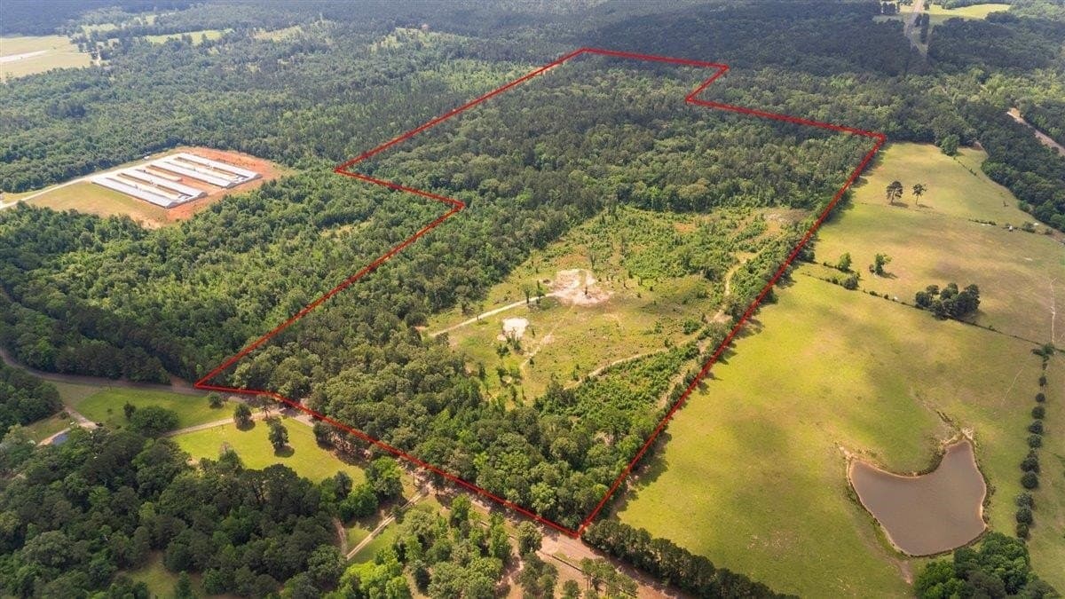 100.56 acres in Wood County featured view
