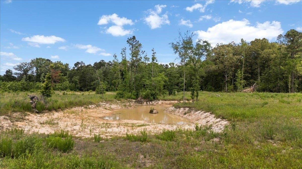 100.56 acres in Wood County - photo 18