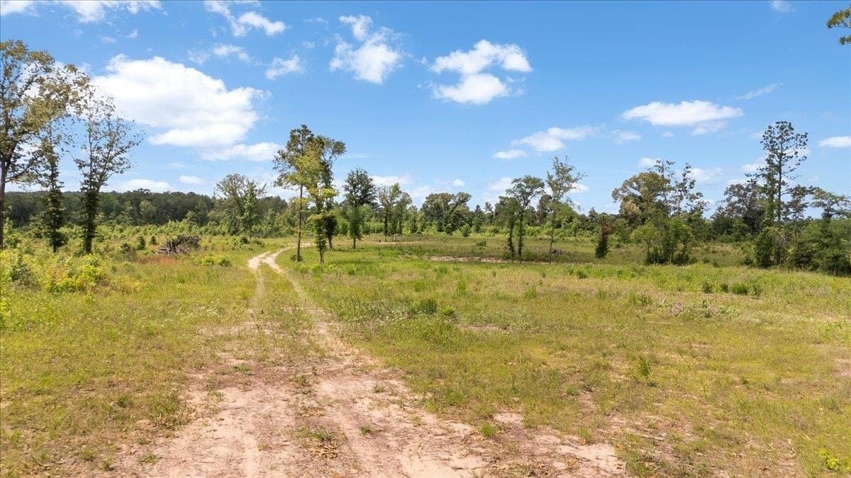 100.56 acres in Wood County - photo 19
