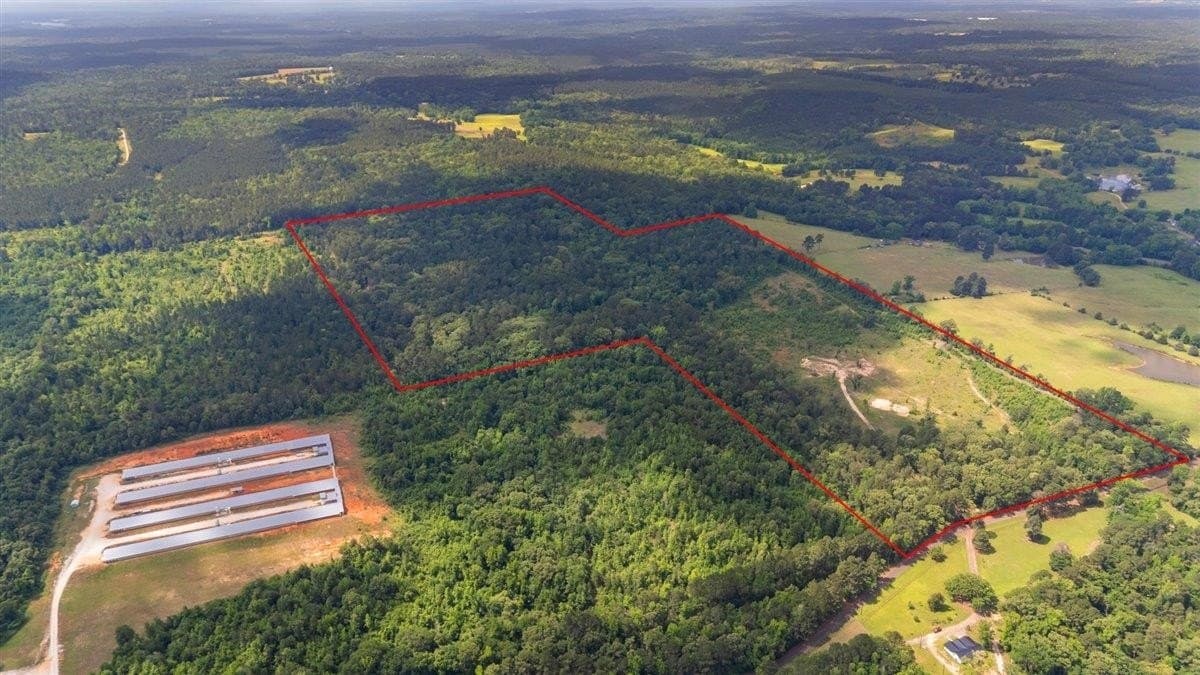 100.56 acres in Wood County gallery image 4