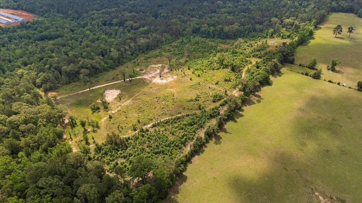 100.56 acres in Wood County - photo 9