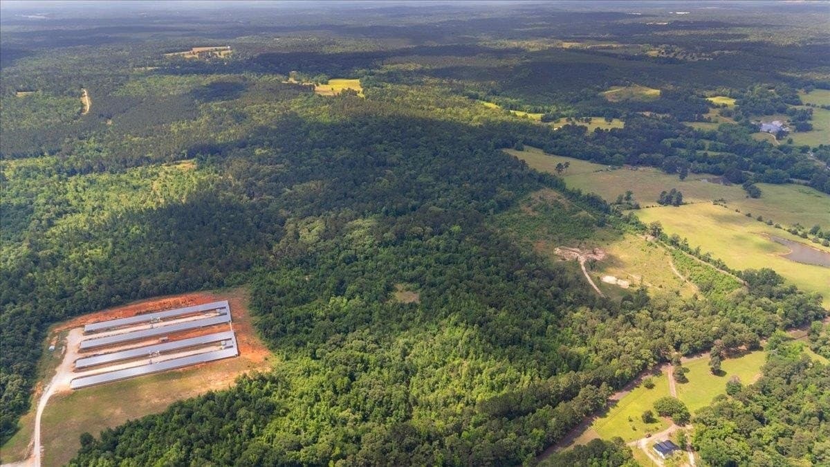 100.56 acres in Wood County - photo 7