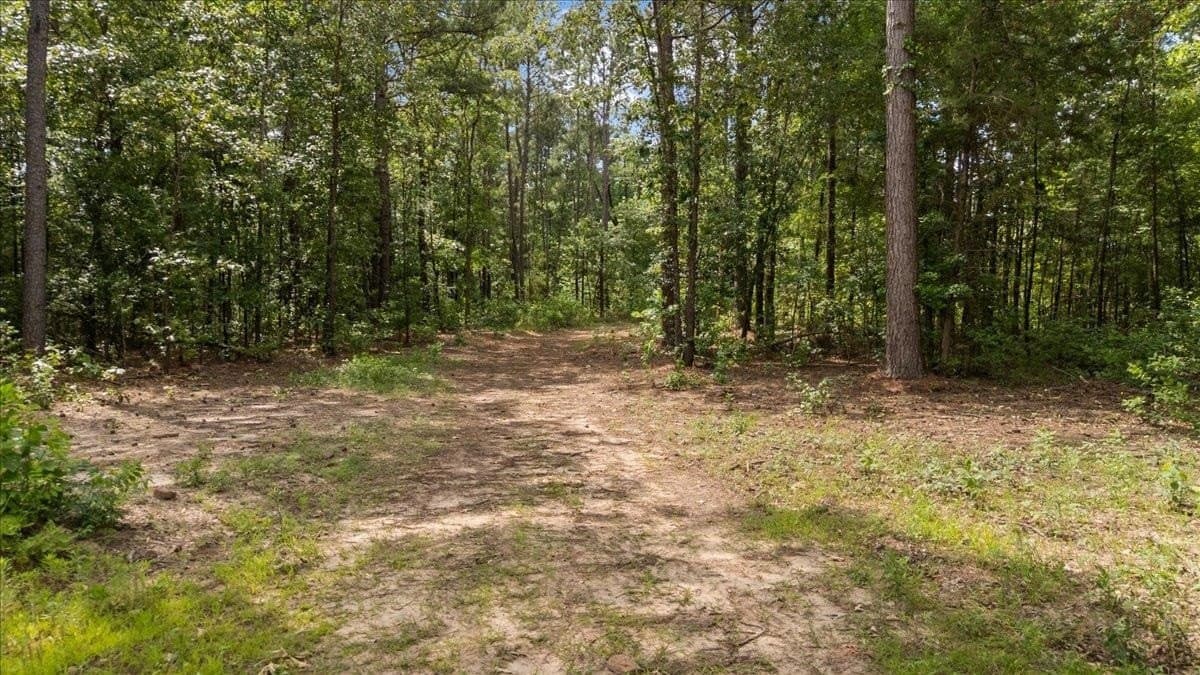 100.56 acres in Wood County gallery image 2
