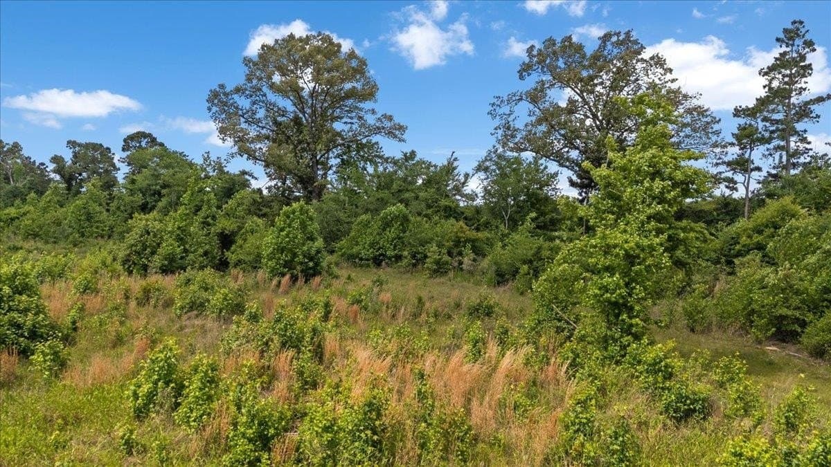 100.56 acres in Wood County - photo 13