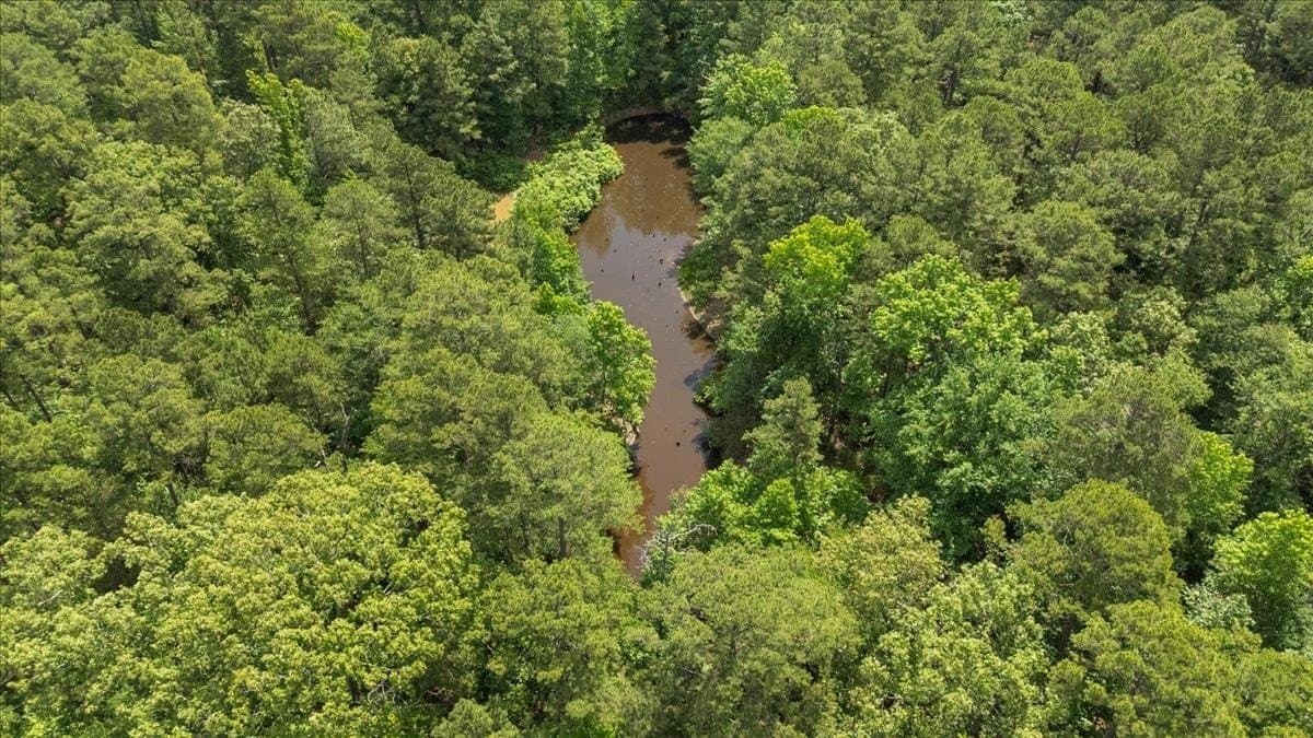 100.56 acres in Wood County - photo 22