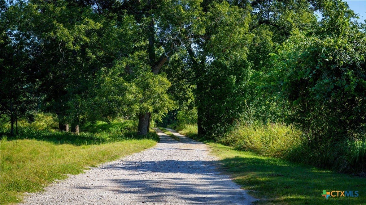 10.83 acres in Blanco County - photo 25