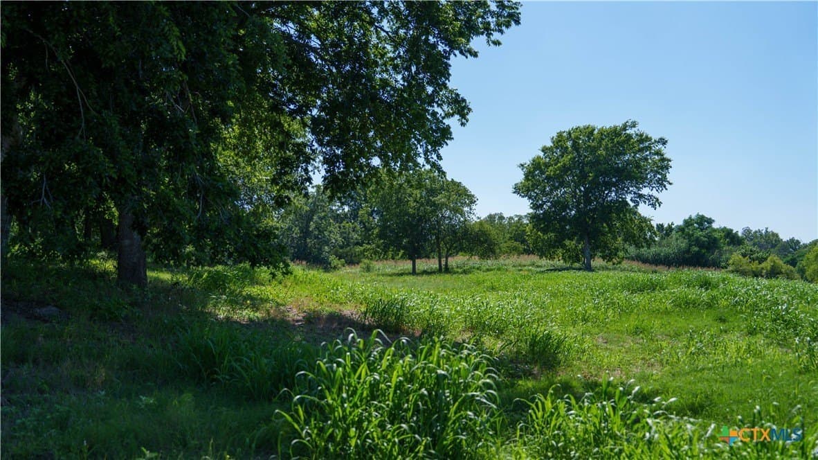 10.83 acres in Blanco County - photo 28