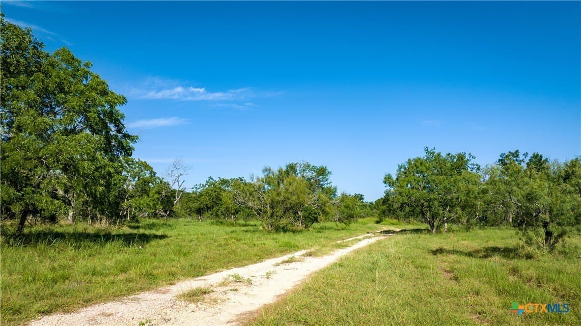 10.83 acres in Blanco County - photo 29