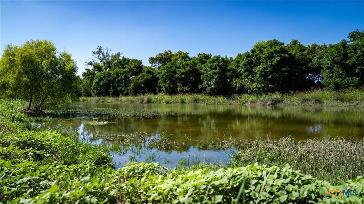 10.83 acres in Blanco County - photo 20
