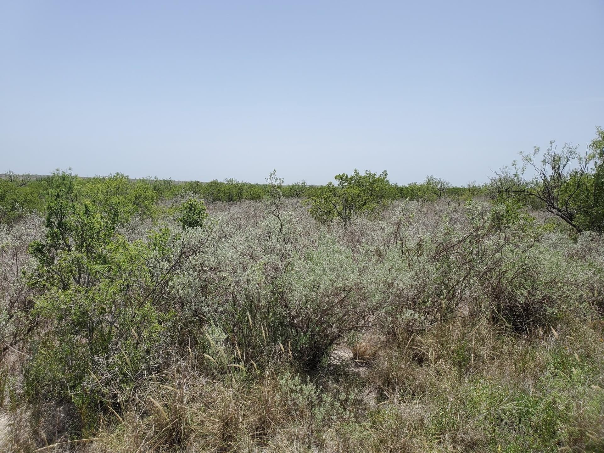 34.07 acres in Kinney County gallery image 4