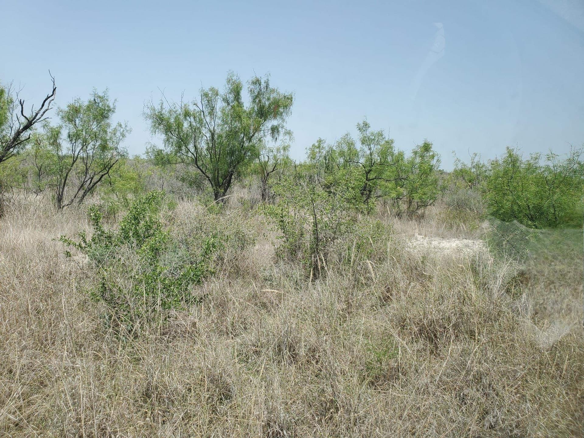 34.07 acres in Kinney County featured view