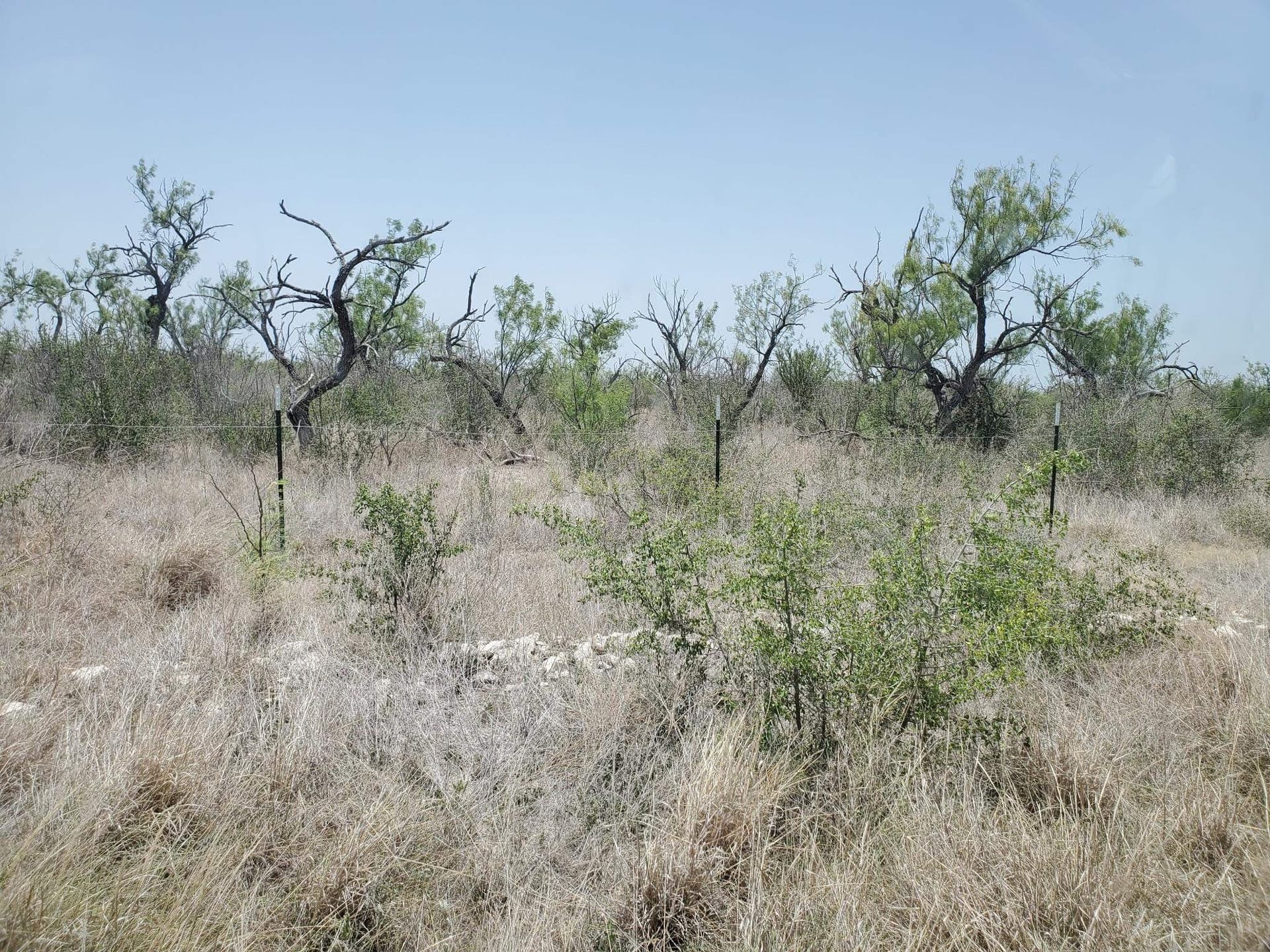 34.07 acres in Kinney County gallery image 3