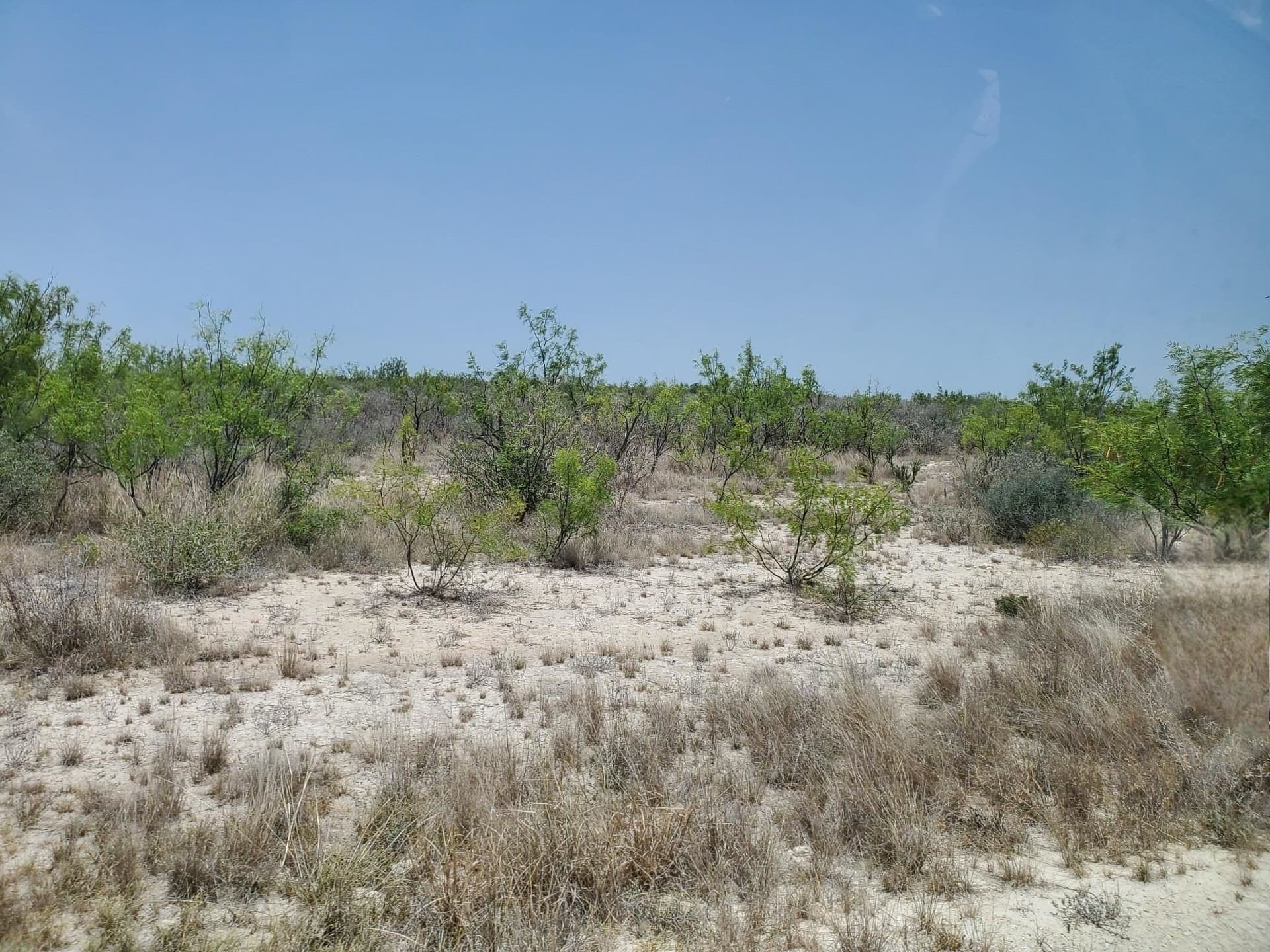 34.07 acres in Kinney County gallery image 2