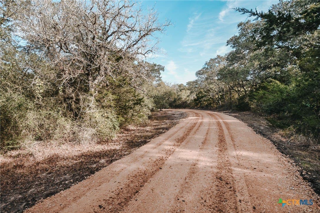 25.03 acres in Victoria County - photo 5