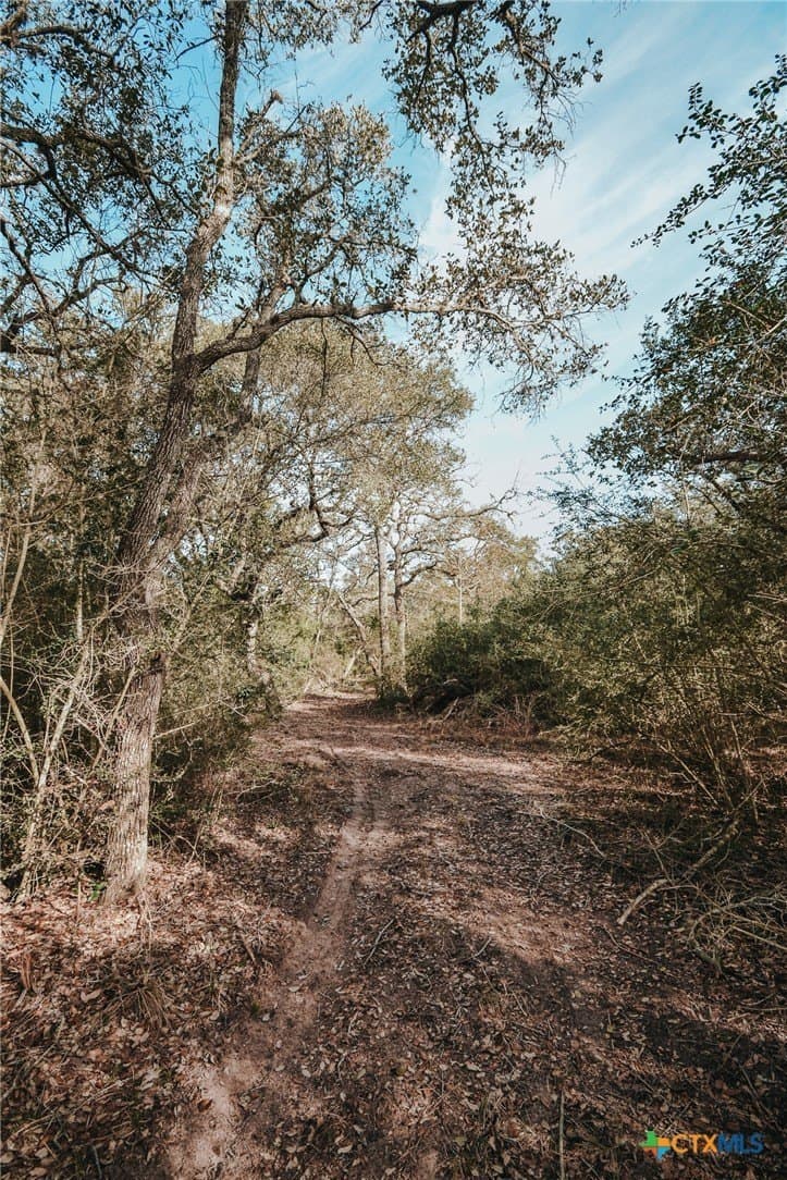 25.03 acres in Victoria County - photo 10