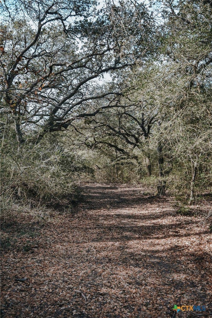 25.03 acres in Victoria County - photo 14