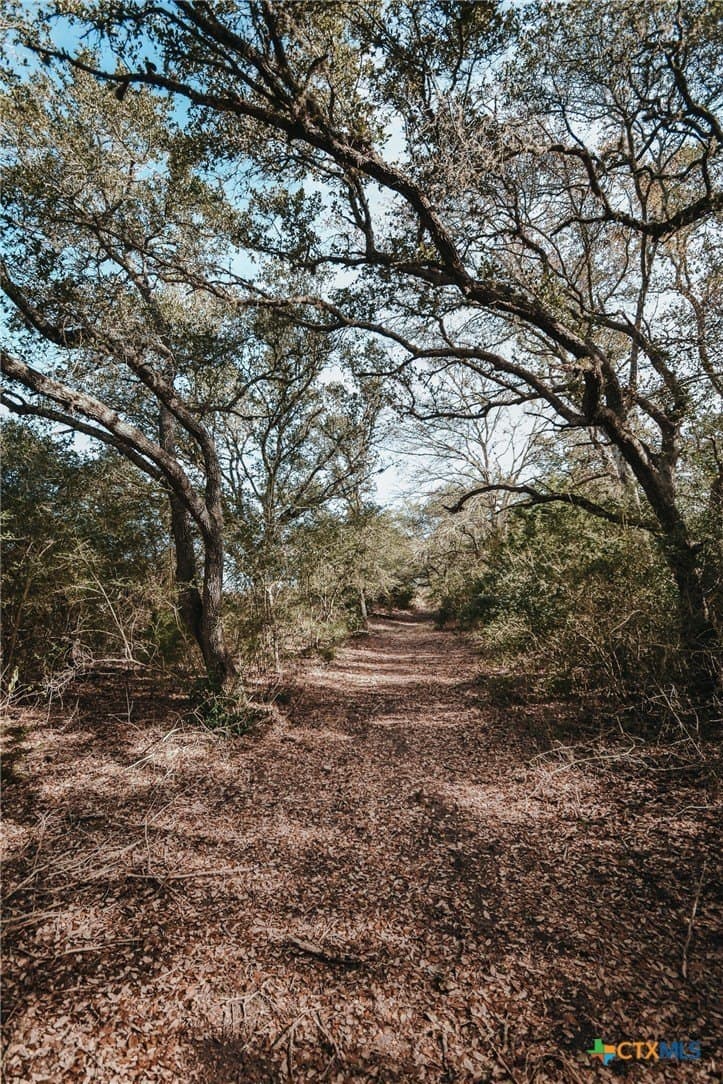 25.03 acres in Victoria County - photo 13