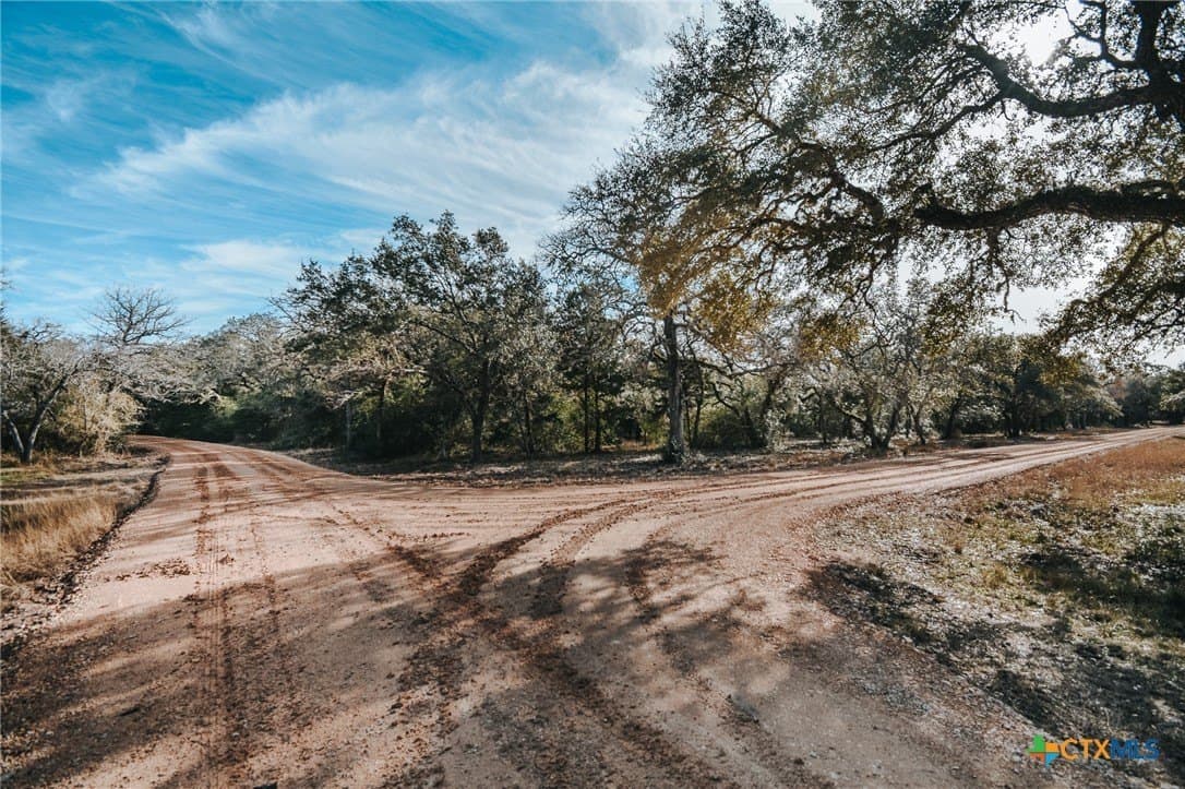 25.03 acres in Victoria County - photo 3