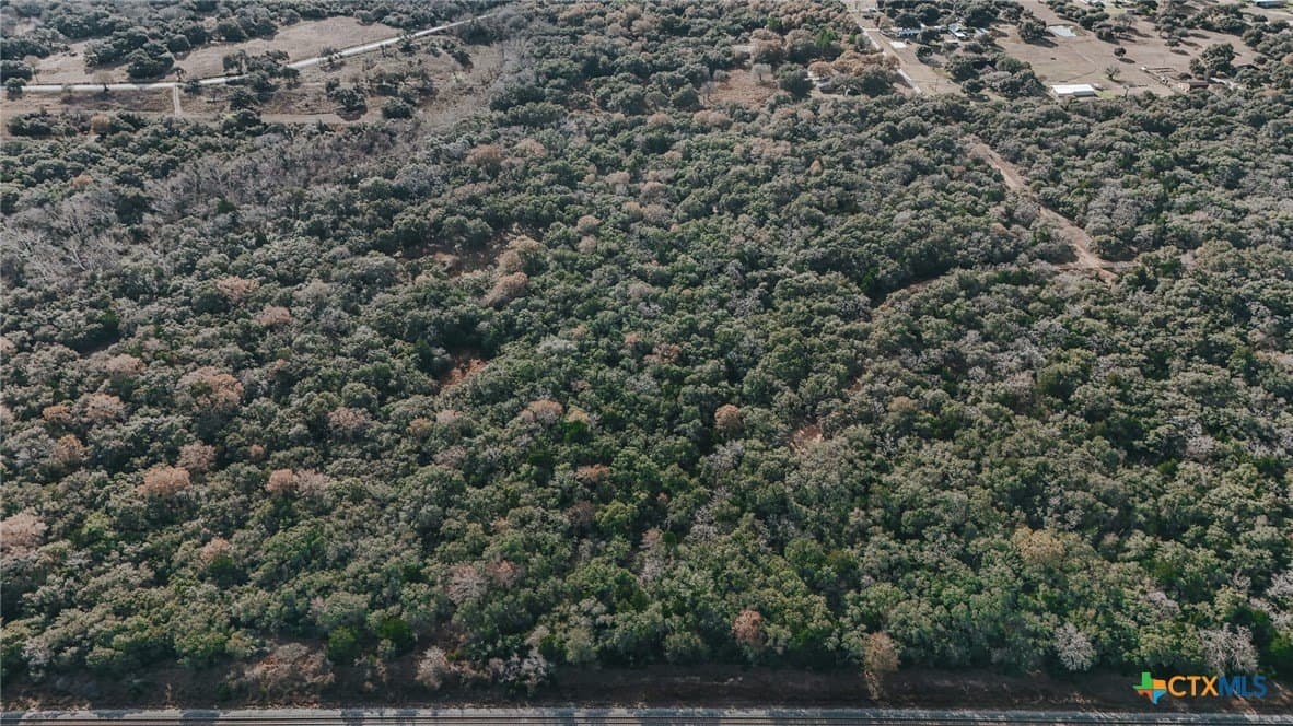 25.03 acres in Victoria County - photo 18