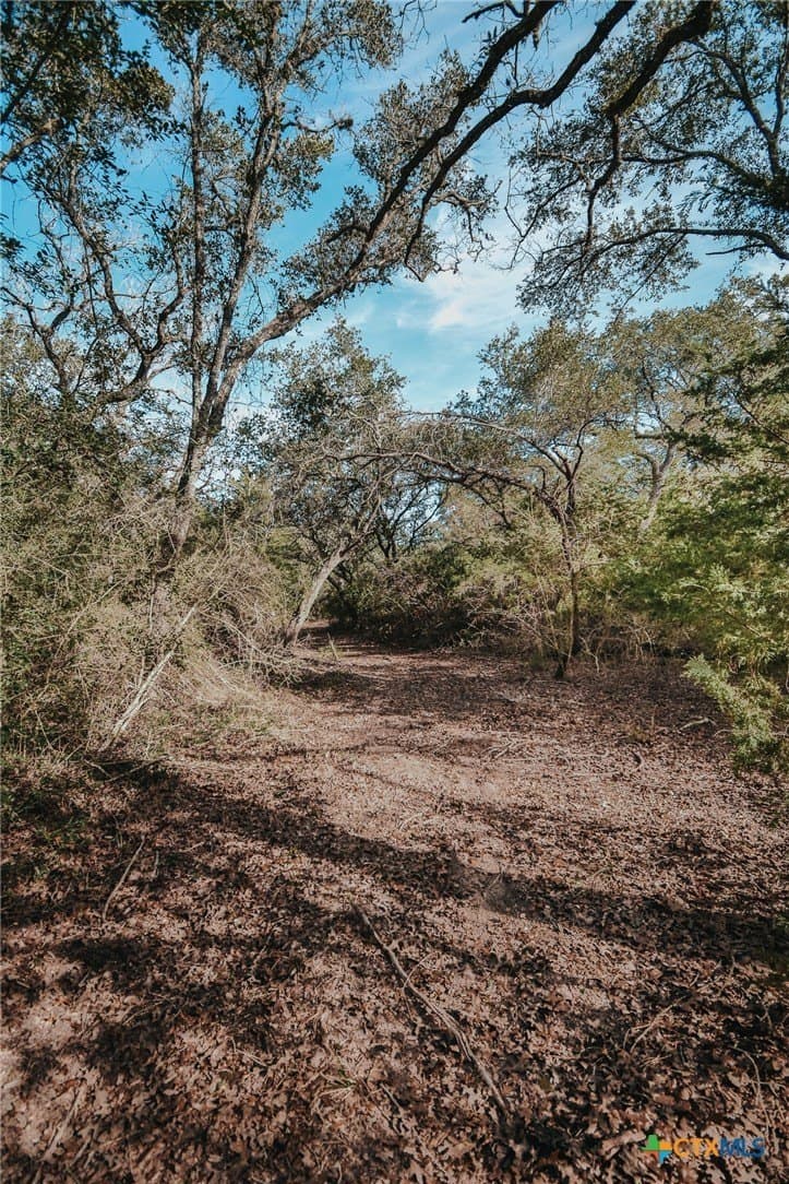 25.03 acres in Victoria County - photo 12