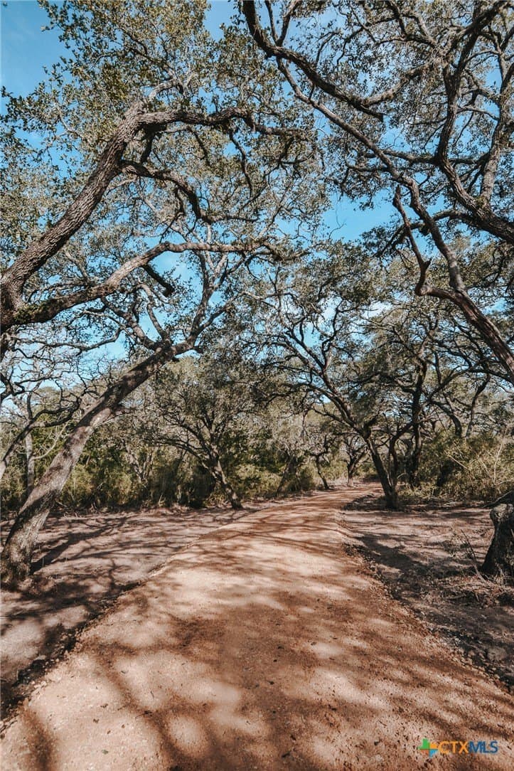 25.03 acres in Victoria County - photo 9