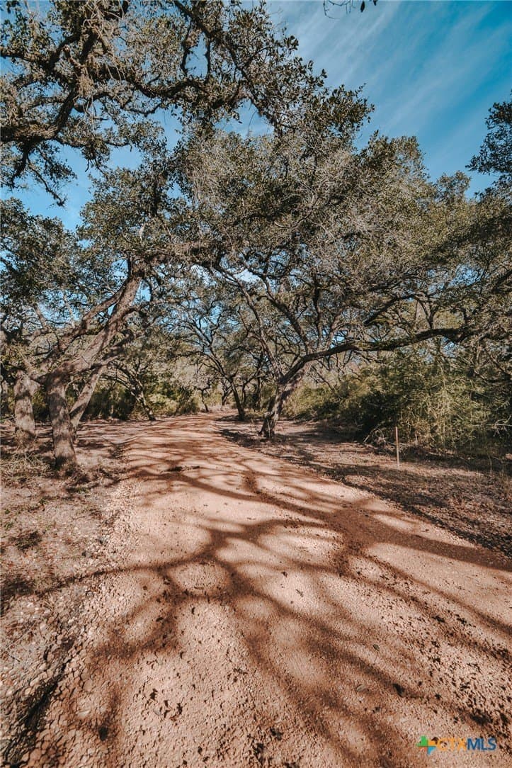 25.03 acres in Victoria County - photo 7