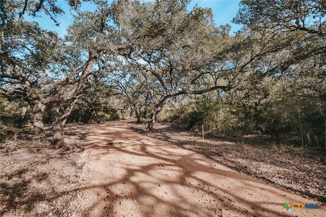 25.03 acres in Victoria County - photo 8