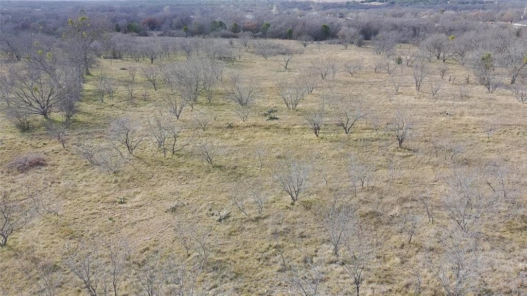 20 acres in Palo Pinto County gallery image 3