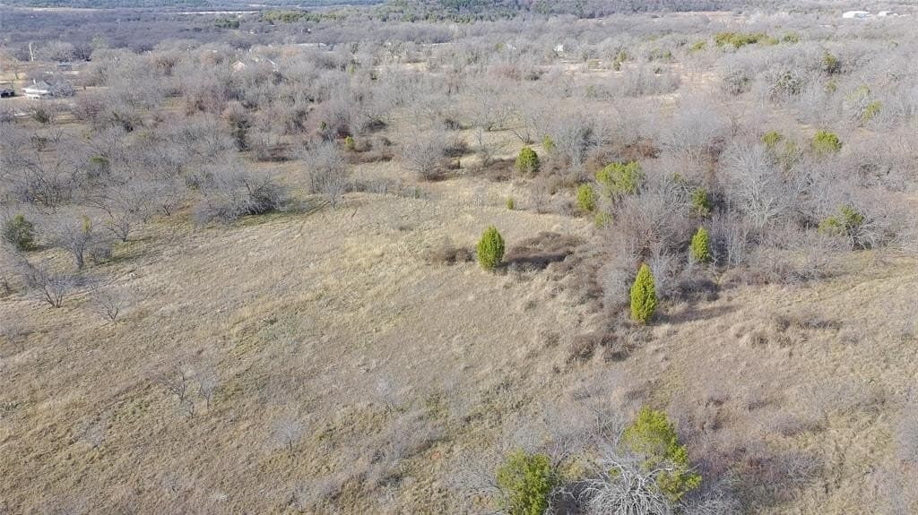 20 acres in Palo Pinto County gallery image 2