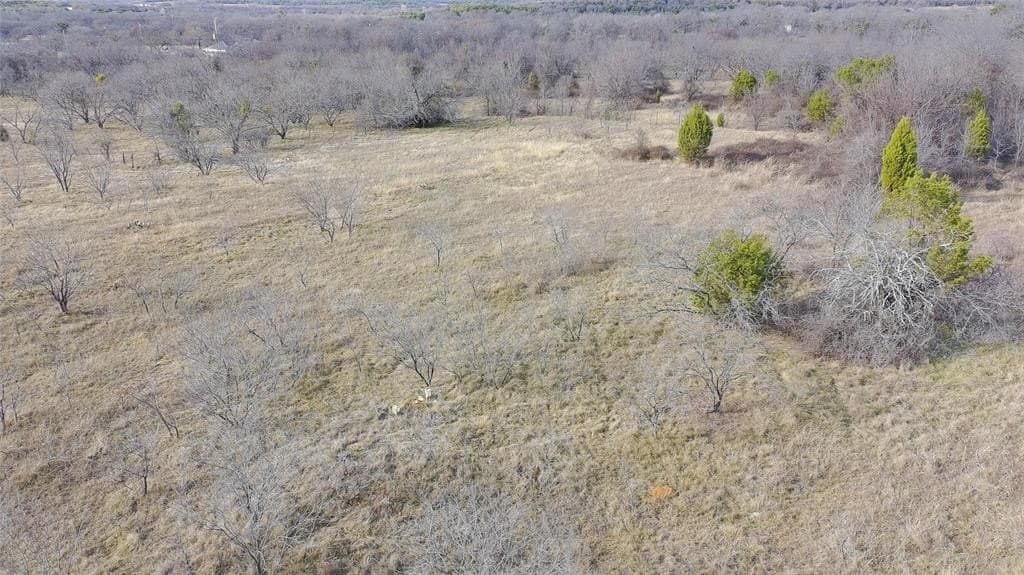 20 acres in Palo Pinto County gallery image 4