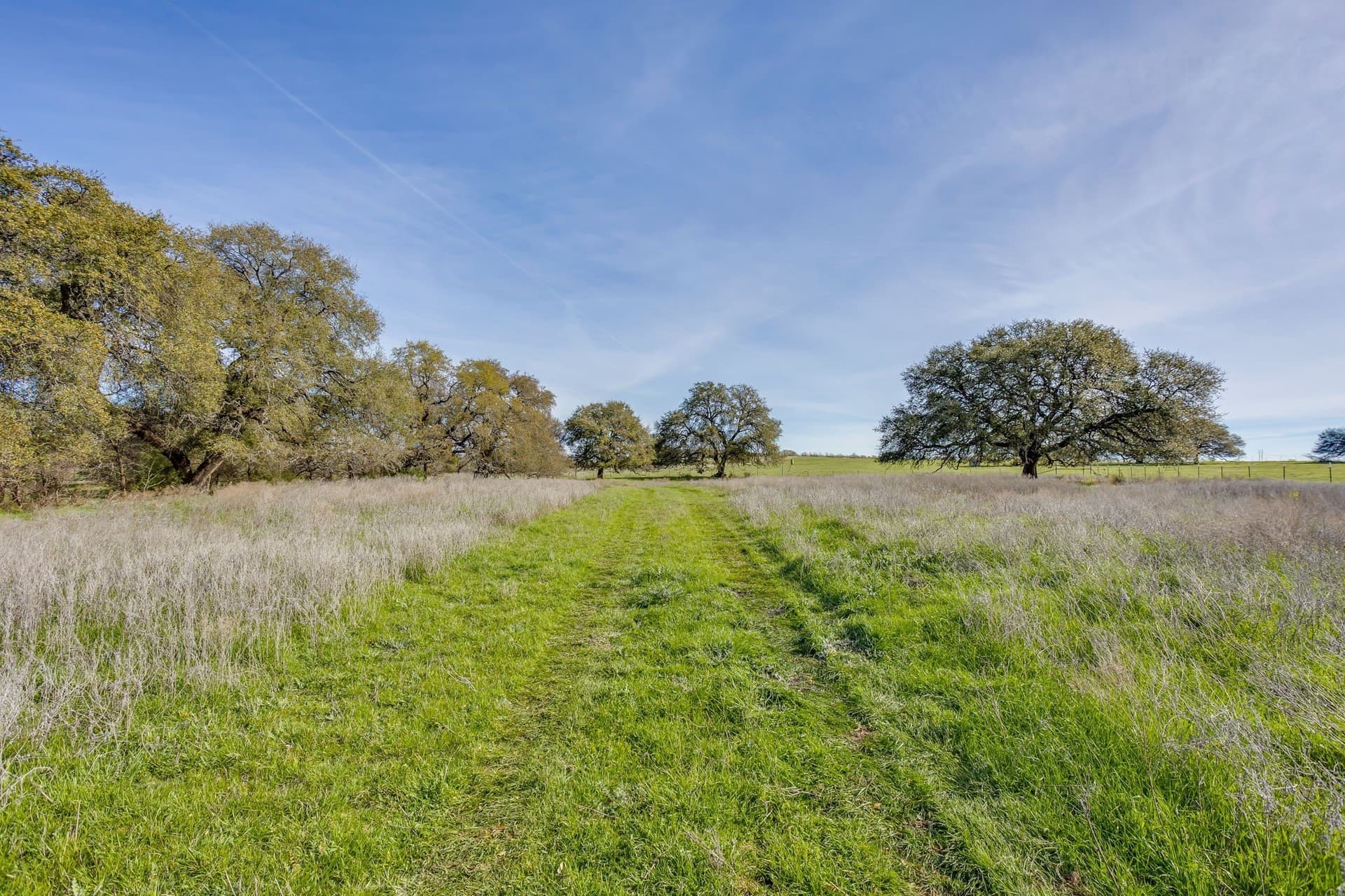 146.17 acres in Hill County - photo 27