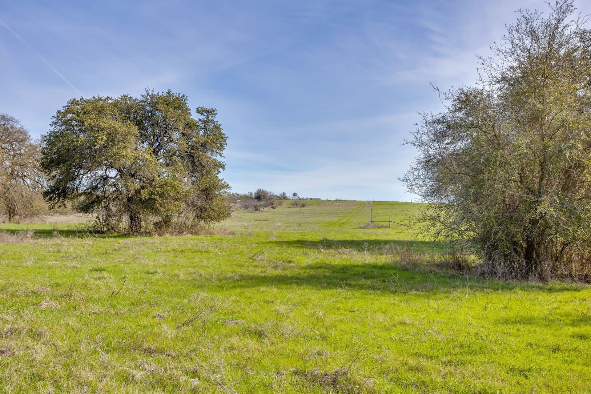 146.17 acres in Hill County - photo 29