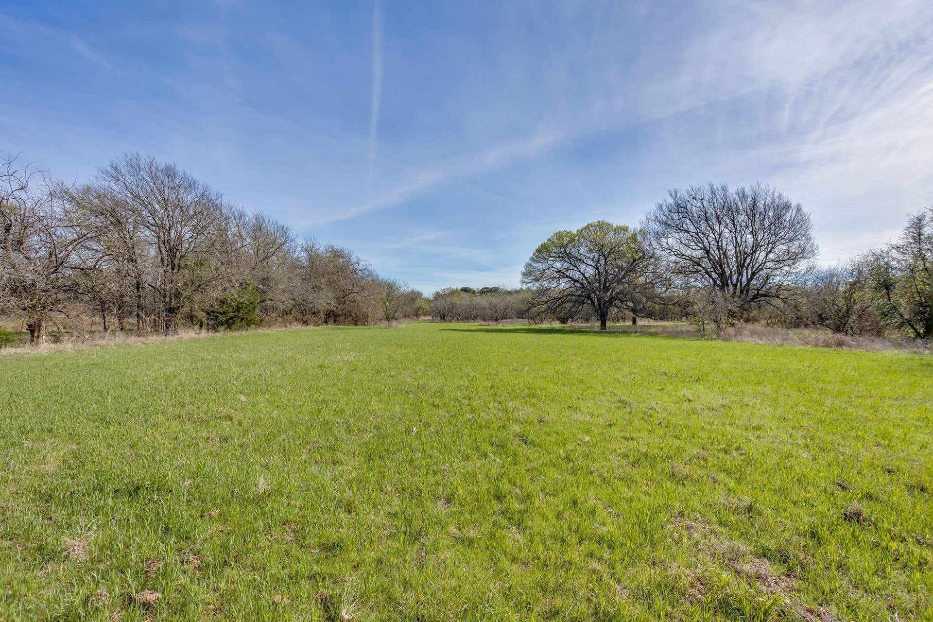 146.17 acres in Hill County - photo 32