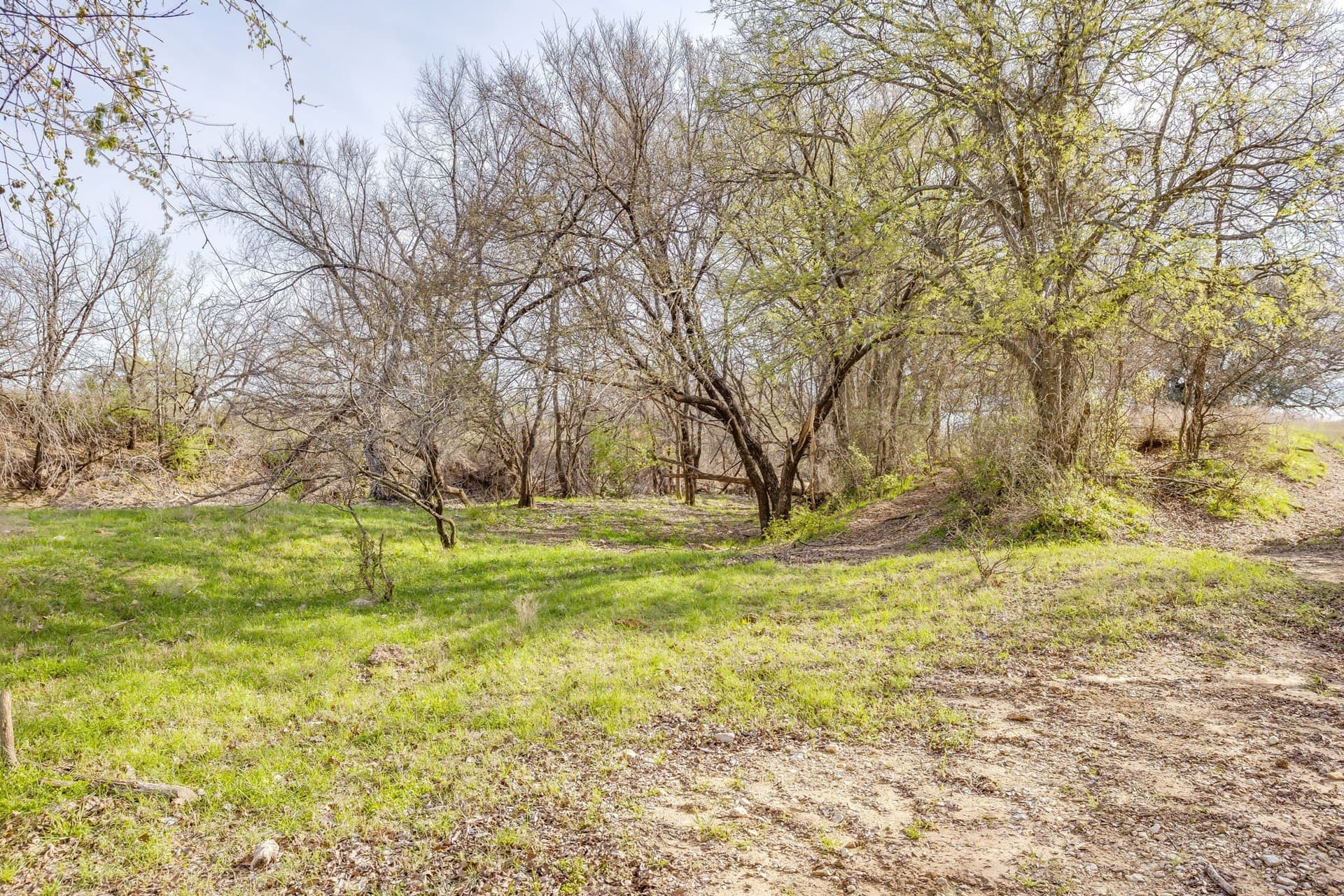 146.17 acres in Hill County - photo 21