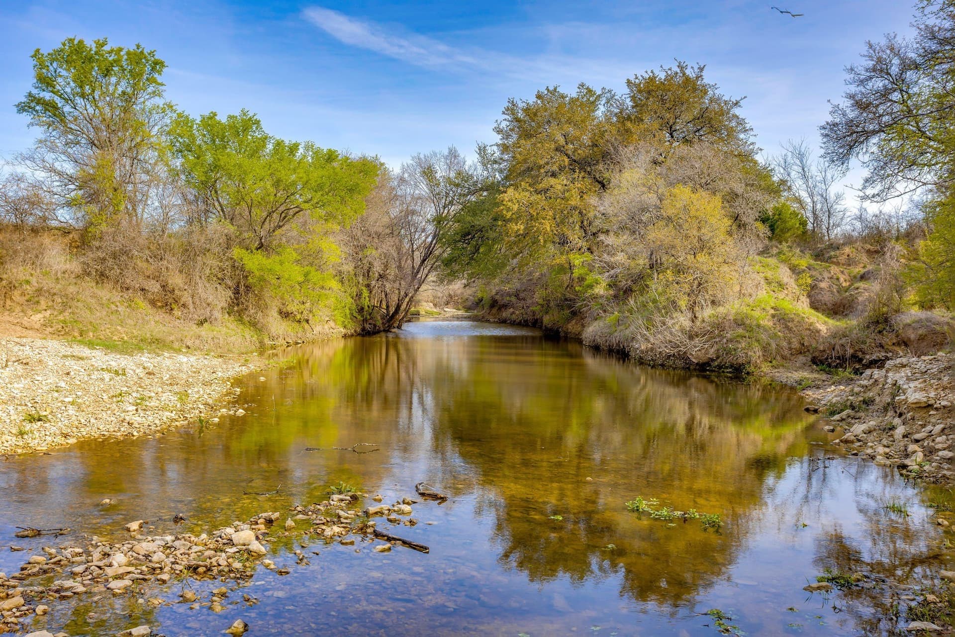 146.17 acres in Hill County - photo 3