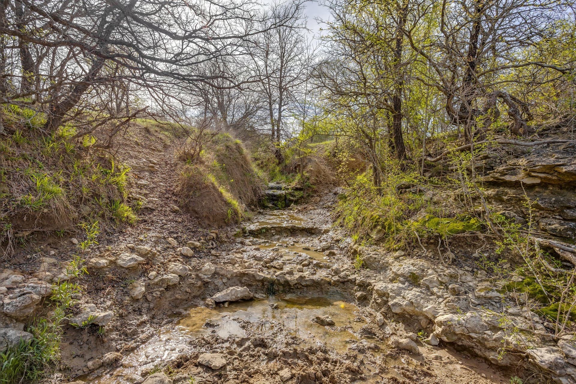 146.17 acres in Hill County - photo 26