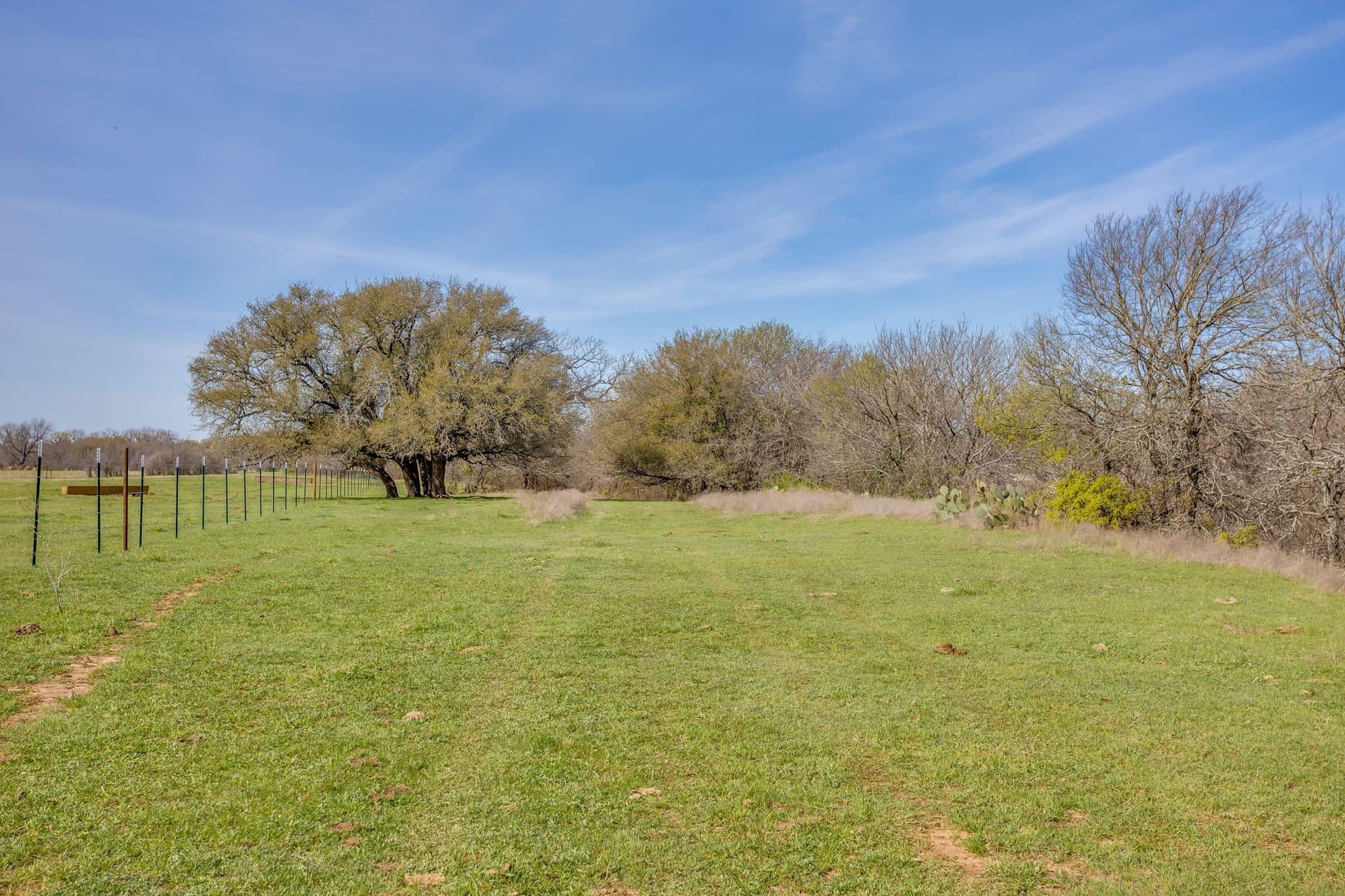 146.17 acres in Hill County - photo 33