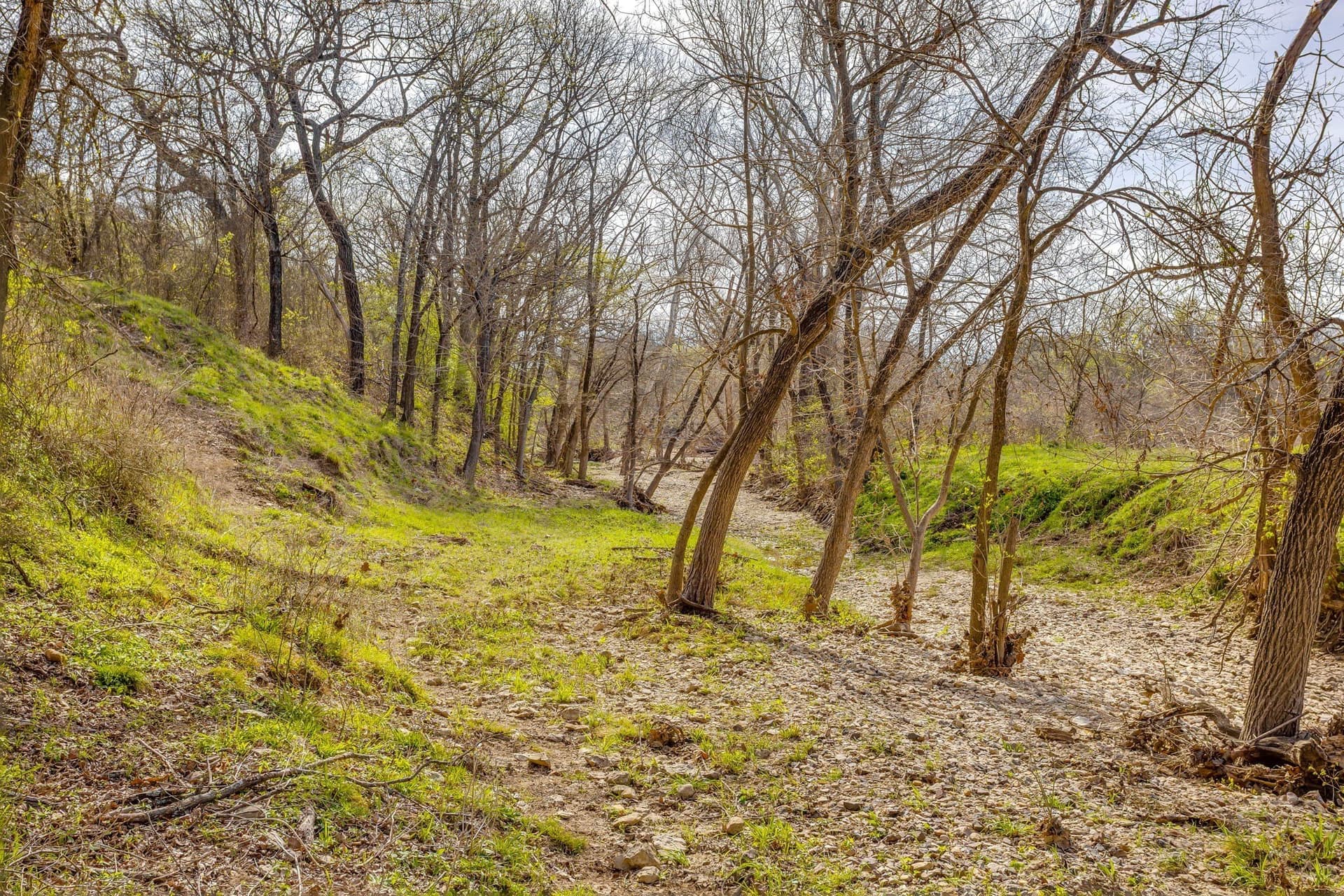 146.17 acres in Hill County - photo 37