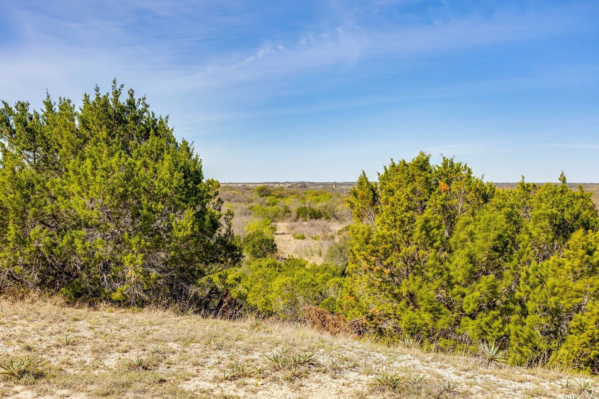 146.17 acres in Hill County - photo 39