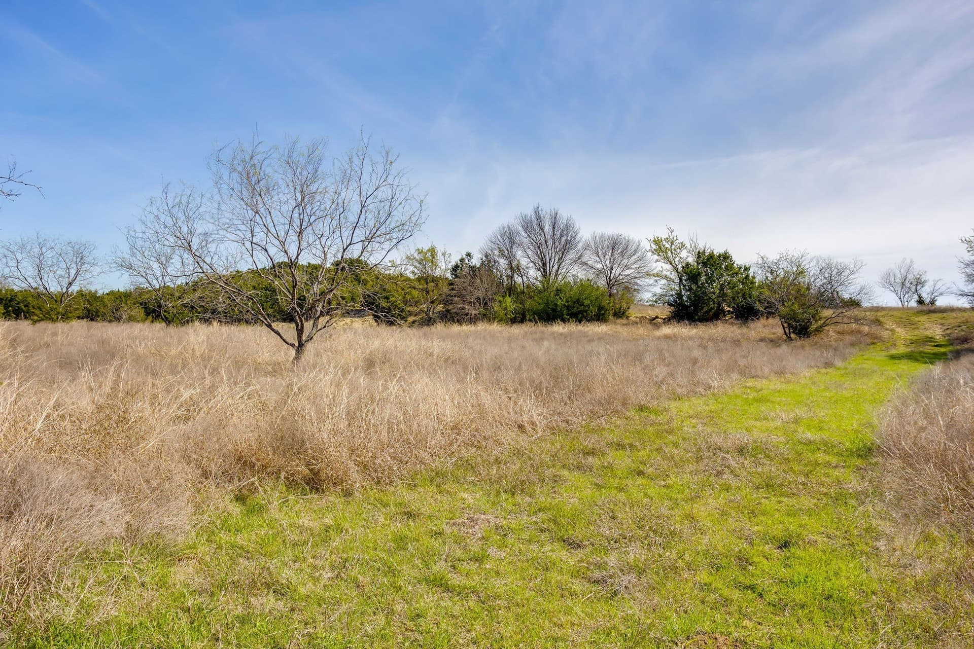 146.17 acres in Hill County - photo 38