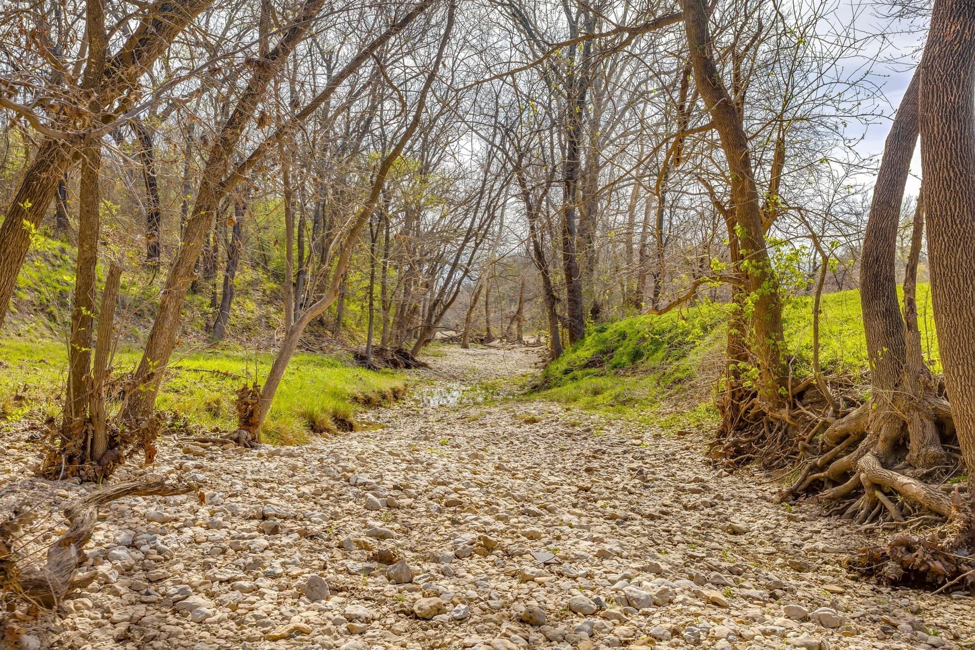 146.17 acres in Hill County - photo 36
