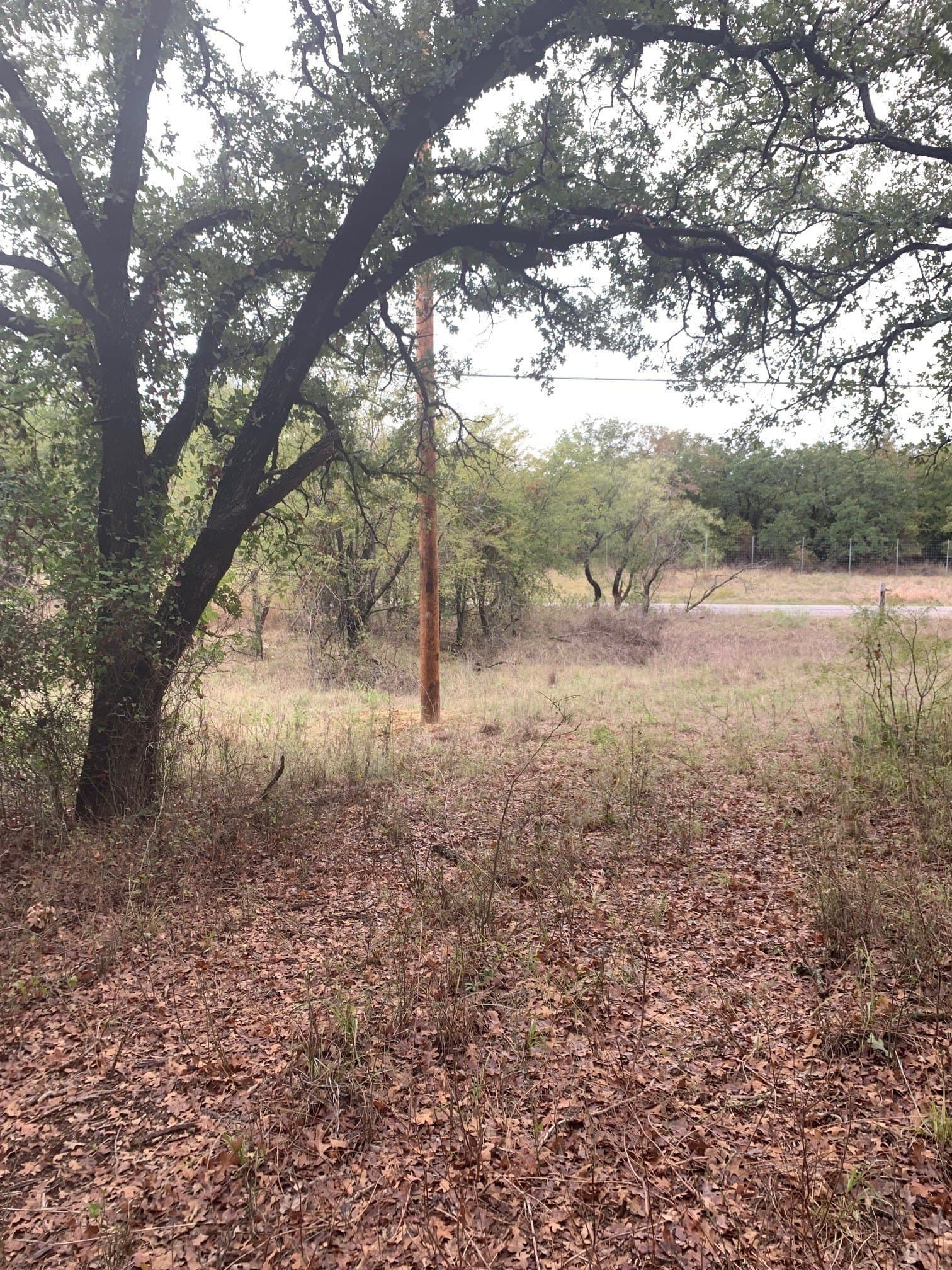0.25 acres in Wise County - photo 4