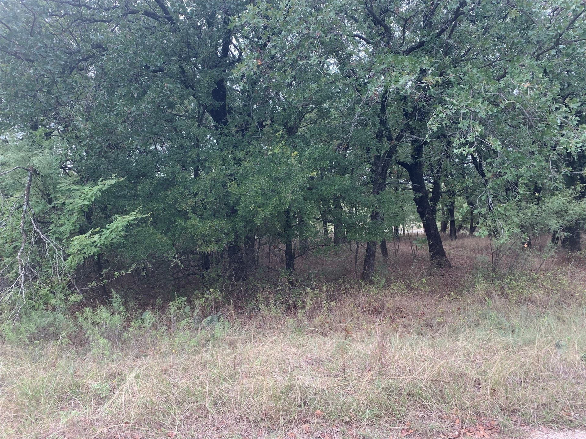 0.25 acres in Wise County - photo 11