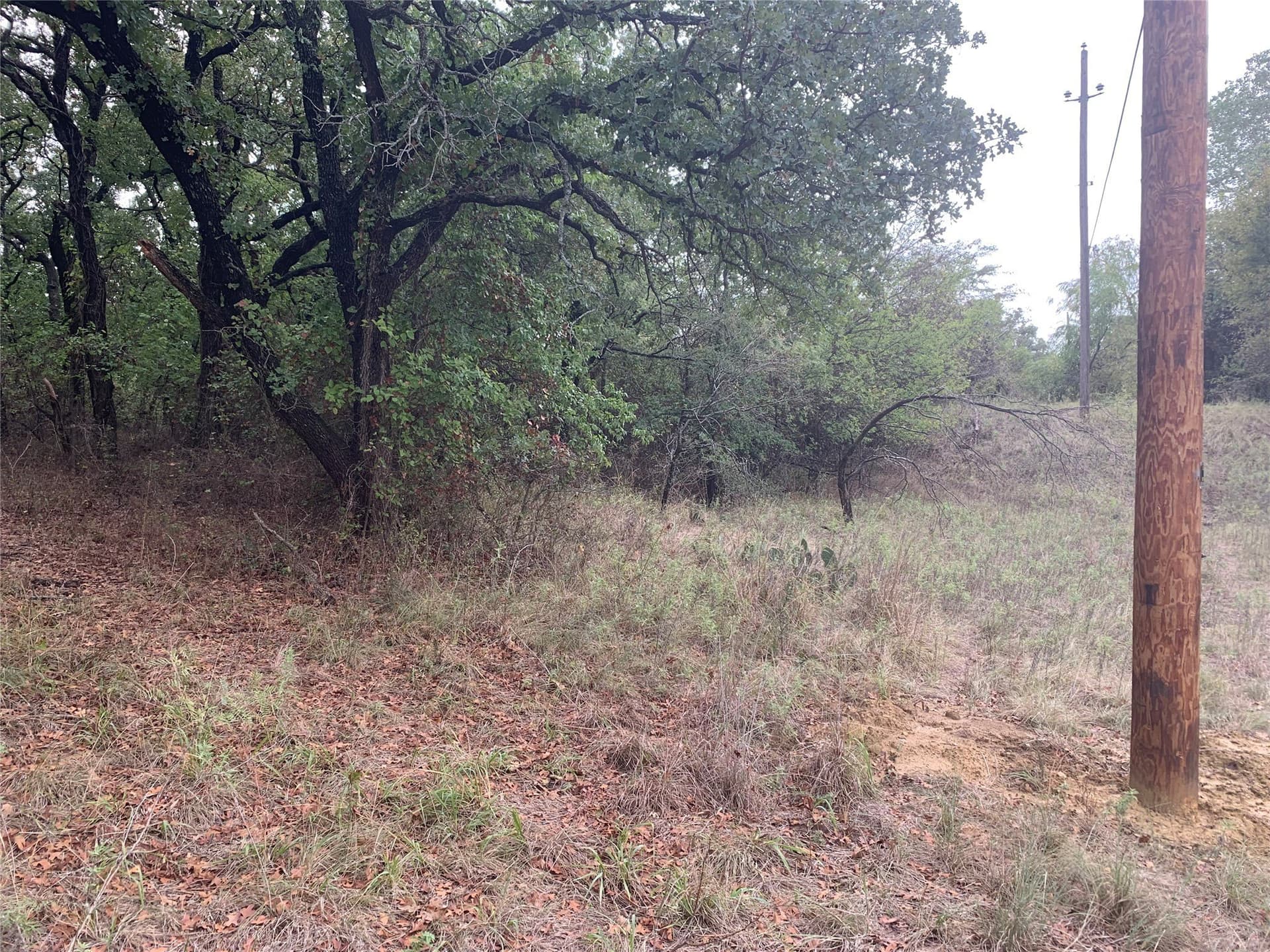 0.25 acres in Wise County - photo 9