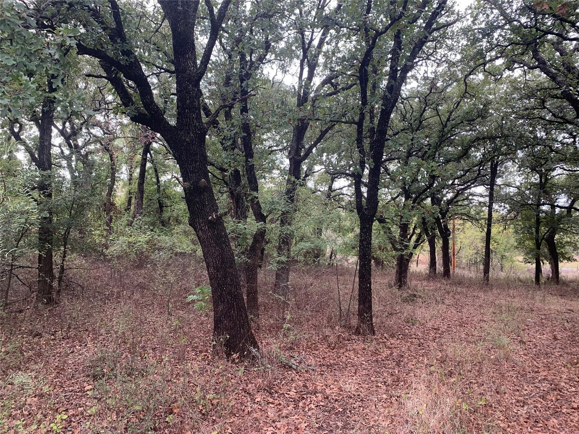 0.25 acres in Wise County - photo 7