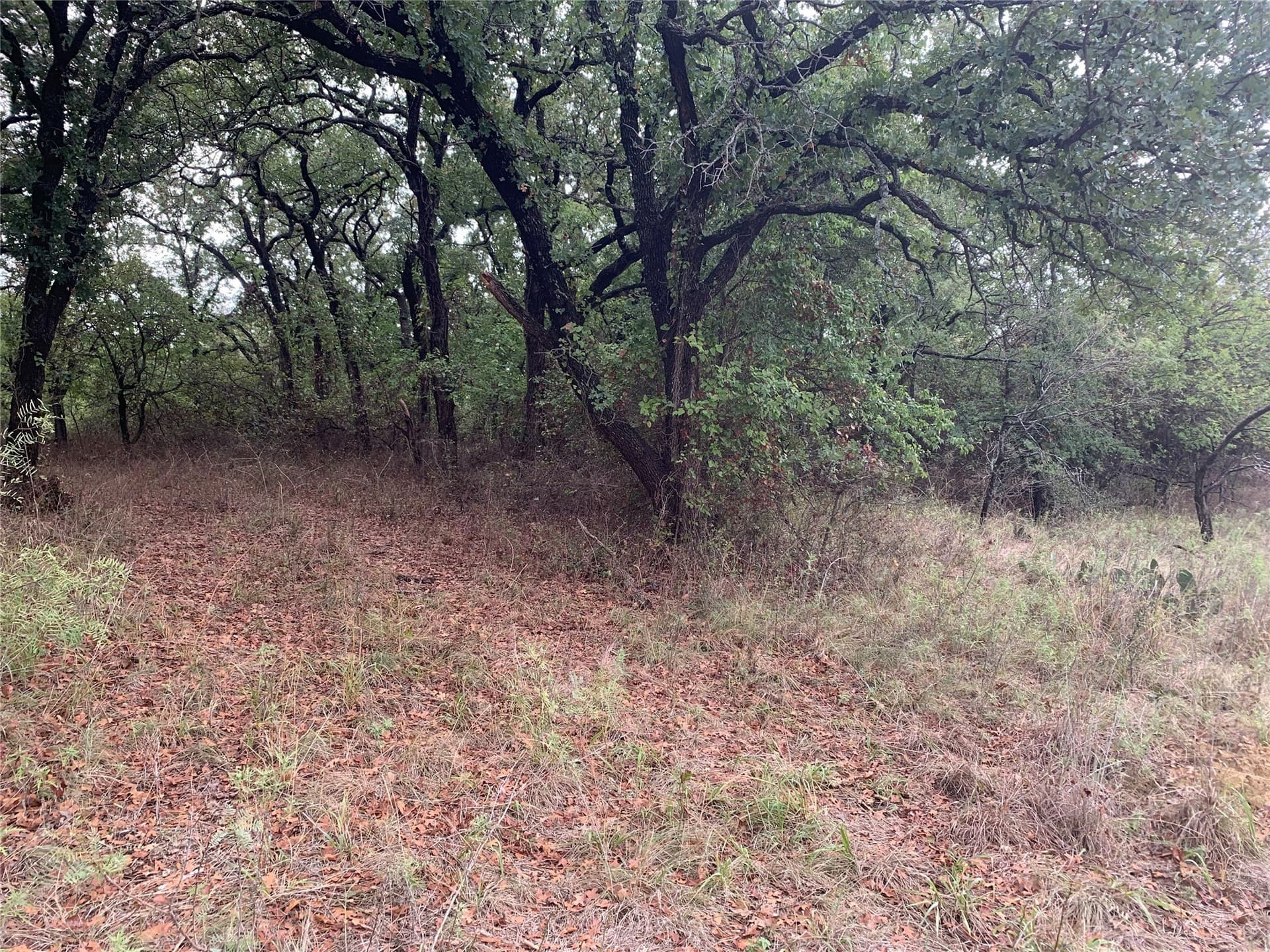0.25 acres in Wise County - photo 8