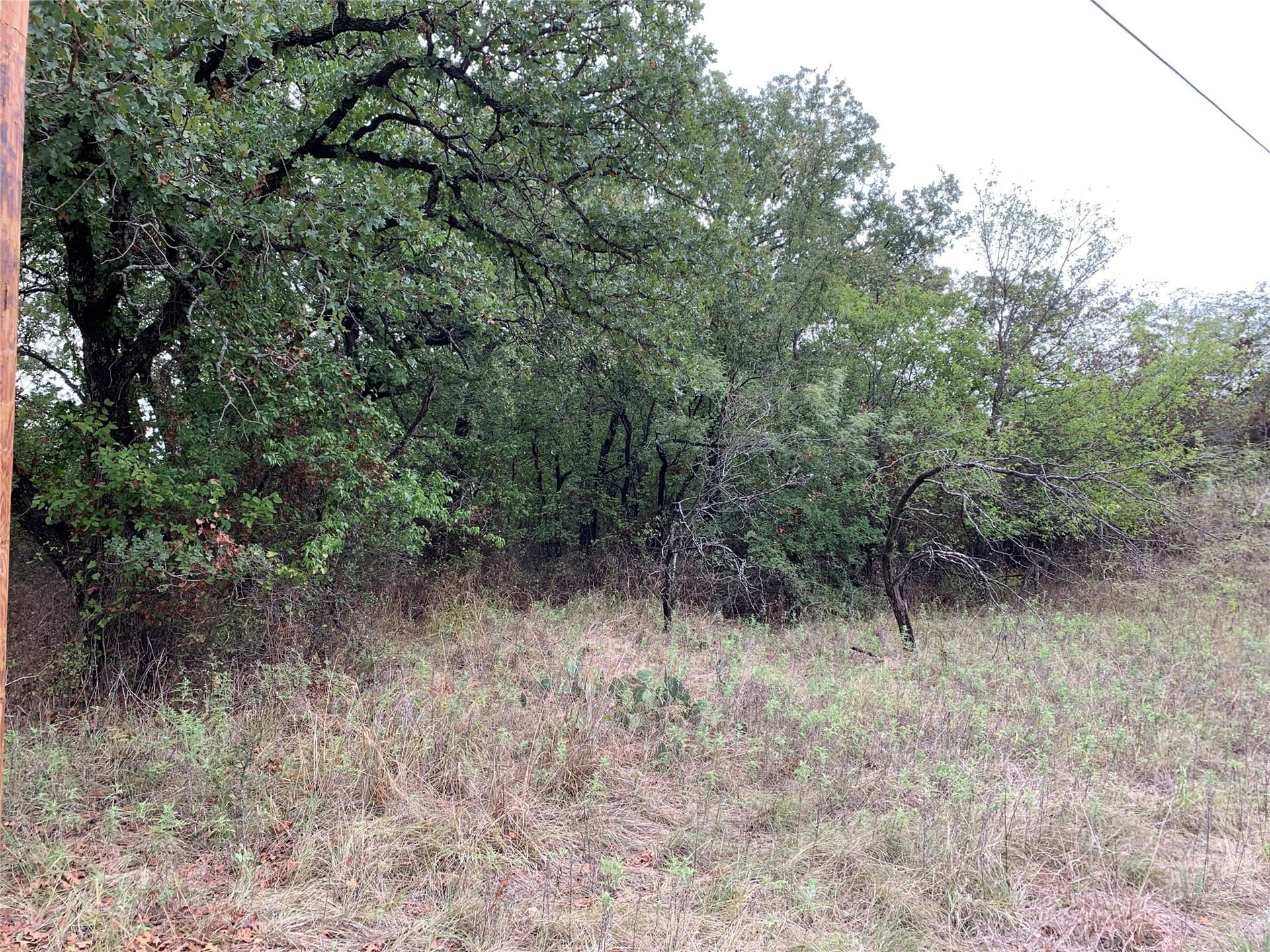 0.25 acres in Wise County - photo 6
