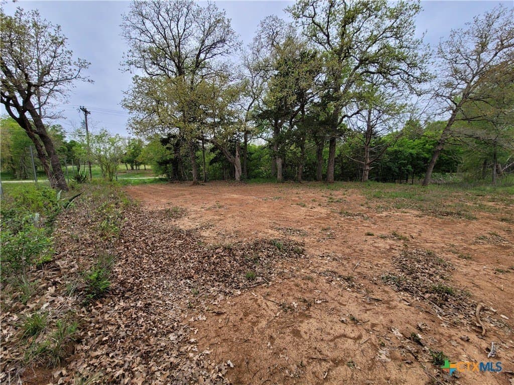 2.67 acres in Bastrop County gallery image 2
