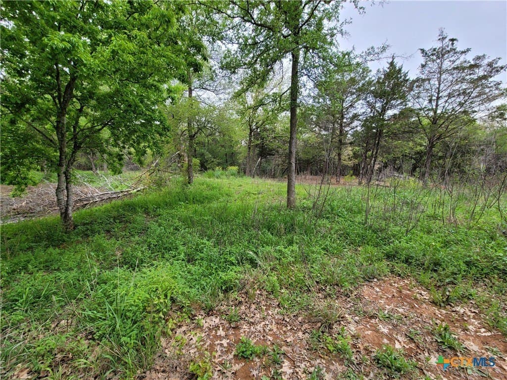 2.67 acres in Bastrop County - photo 18